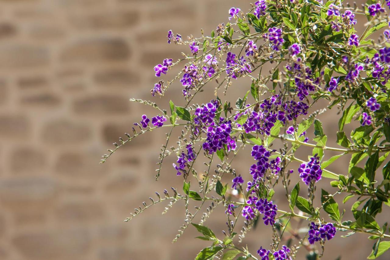 La Demeure Insoupconnee Bed & Breakfast Cassis